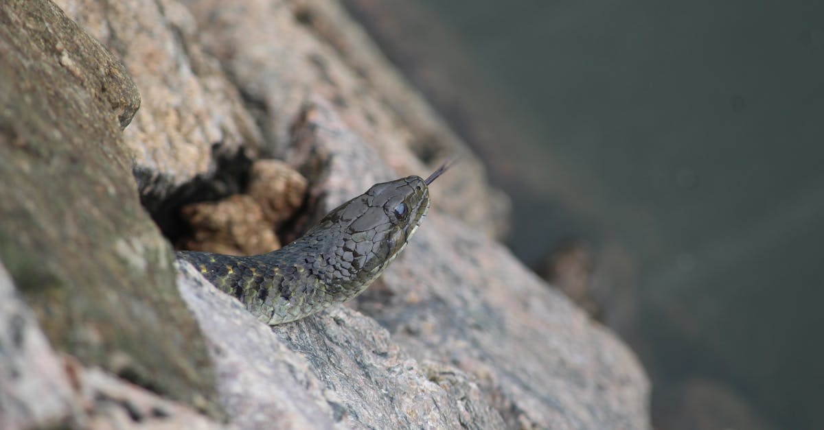 découvrez le concept des mutuelles non-responsables et leurs impacts sur le système de santé. apprenez comment elles fonctionnent, les risques associés et les alternatives responsables pour une couverture santé adaptée à vos besoins.