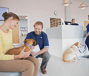 découvrez les tarifs avantageux des assurances pour chiens afin de protéger votre compagnon à quatre pattes. comparez les offres et trouvez la formule qui correspond à vos besoins et à votre budget.