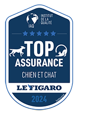 découvrez les meilleurs prix pour l'assurance chien et garantissez la santé de votre compagnon à quatre pattes. comparez les offres et trouvez la couverture idéale adaptée à votre budget.