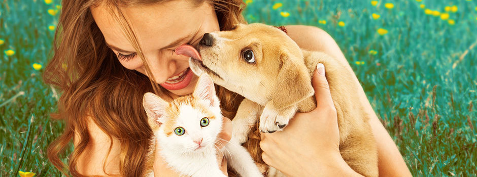 découvrez les tarifs des mutuelles pour animaux et choisissez la meilleure couverture pour votre compagnon à quatre pattes. comparez les offres et protégez la santé de votre animal en toute tranquillité.