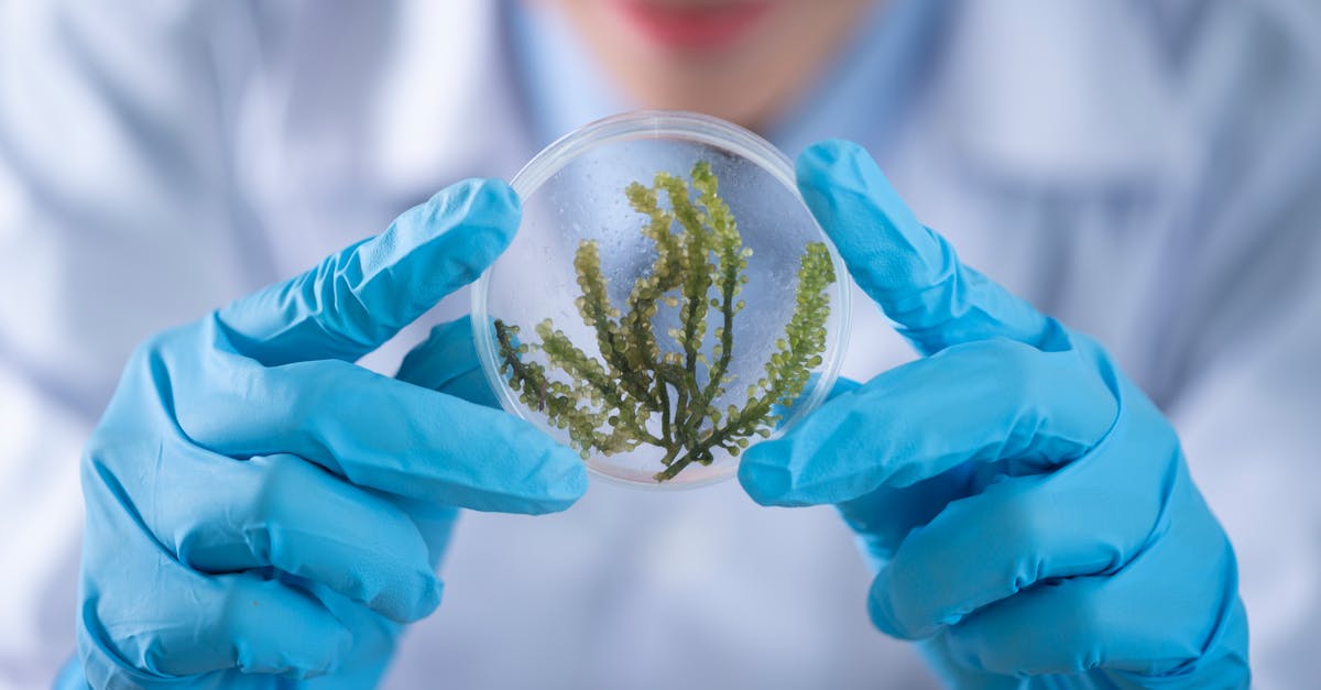 découvrez les dernières tendances et innovations en matière de soins de santé, explorez les solutions médicales avancées et apprenez comment améliorer votre bien-être à travers des articles informatifs et des conseils d'experts.