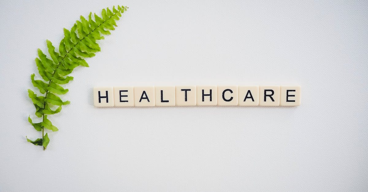 découvrez les dernières tendances et innovations en matière de soins de santé. informez-vous sur les avancées médicales, les techniques de prévention et les meilleures pratiques pour améliorer votre bien-être et celui de vos proches.
