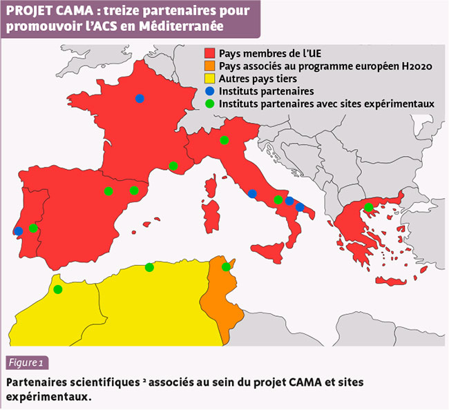 découvrez le fonctionnement de l'acs (aide à la complémentaire santé), un dispositif essentiel pour faciliter l'accès aux soins. informez-vous sur ses critères d'éligibilité, ses avantages et comment en bénéficier pour améliorer votre santé et votre budget.