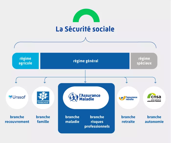découvrez tout ce qu'il faut savoir sur la sécurité sociale en france, ses droits, ses prestations et son fonctionnement. informez-vous pour mieux comprendre comment la sécurité sociale protège votre santé et votre avenir.