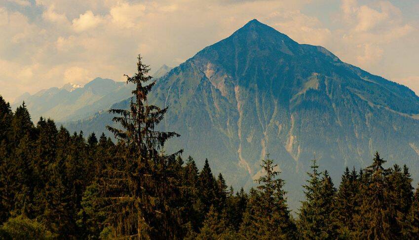 découvrez le groupe macif, un acteur majeur de l'assurance et de la protection sociale en france, offrant des solutions adaptées à vos besoins pour vous accompagner au quotidien.