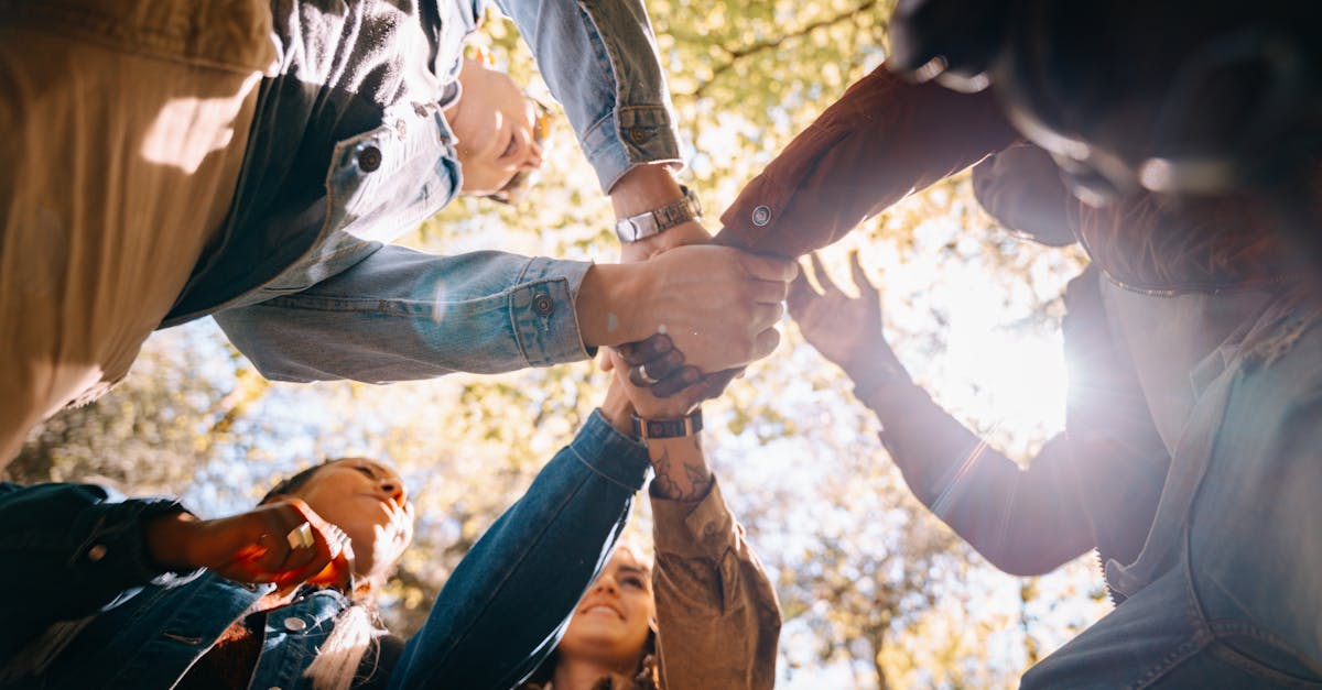 découvrez l'univers des mutuelles, des entreprises qui offrent des solutions de protection sociale et santé adaptées à vos besoins. explorez les avantages, les garanties et les conseils pour choisir la meilleure mutuelle pour vous et votre famille.